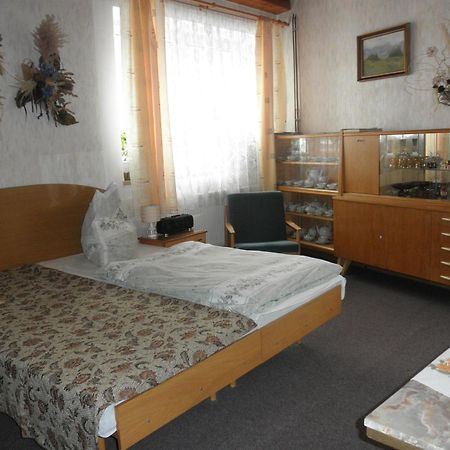 Pension U Kaktusu Karlovy Vary Kültér fotó