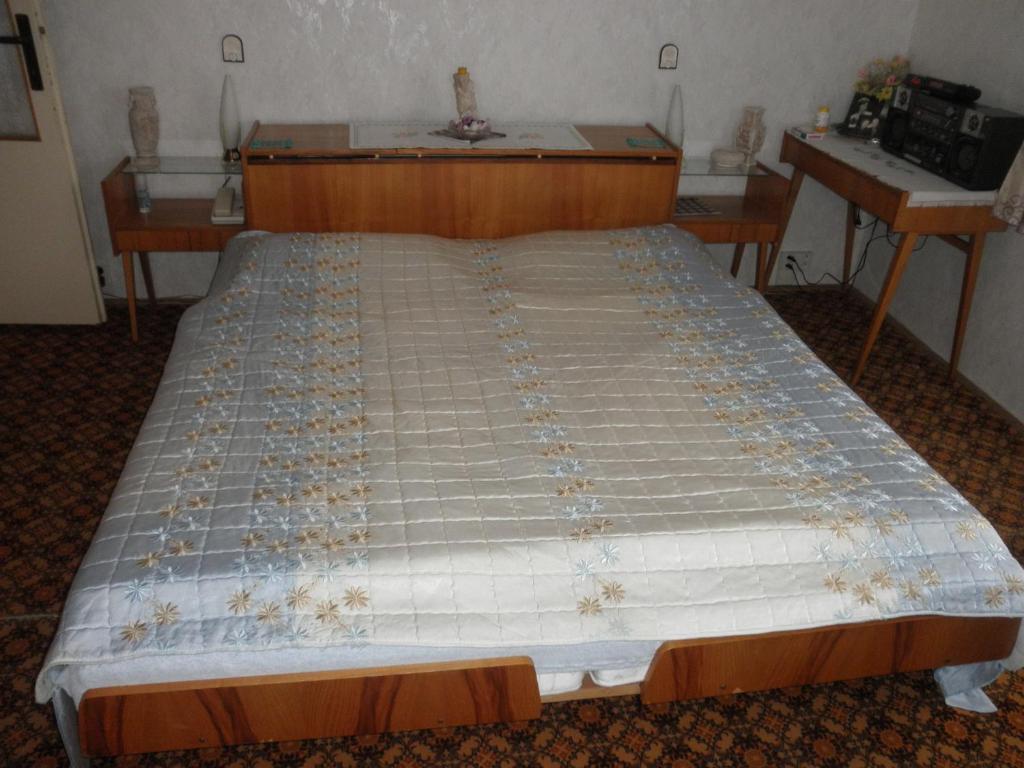 Pension U Kaktusu Karlovy Vary Szoba fotó