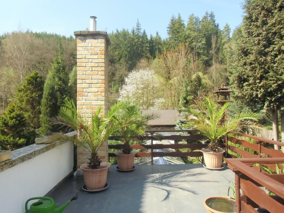 Pension U Kaktusu Karlovy Vary Kültér fotó